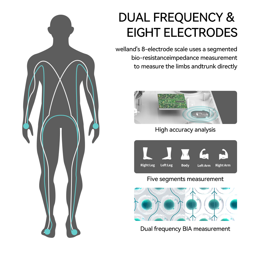 Smart 8 Electrode Scale Bioimp - огляд і ціна Body Fat Scale Smart
